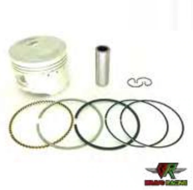 Pistão 0,25 Titan 95/01/XLR C/Anéis Kit