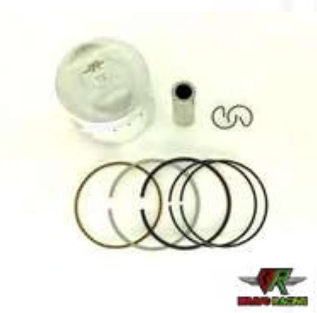 Pistão 1,00 Titan 95/01/XLR C/Anéis Kit